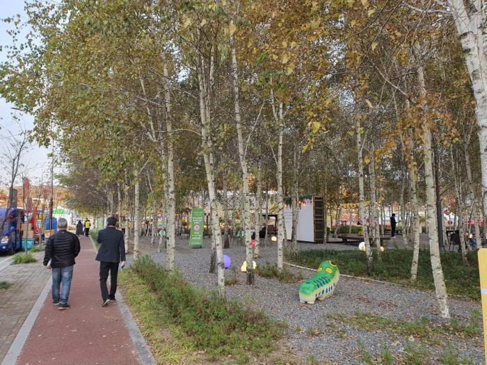 2021년 자작나무숲 현장 사진